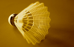 Délocalisation du Badminton au gymnase des Fontaines 