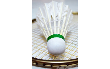 Créneaux Badminton congés Noel