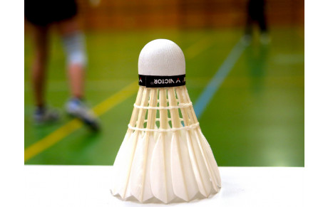 Pas de Badminton les 13 et 14 janvier