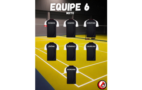Equipe mixte 6